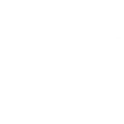 Damon Global Logistics